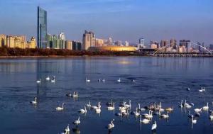 三門(mén)峽又一網(wǎng)紅景點(diǎn)，確定不來(lái)pick一下？